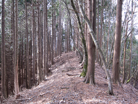 20190205hike (207)